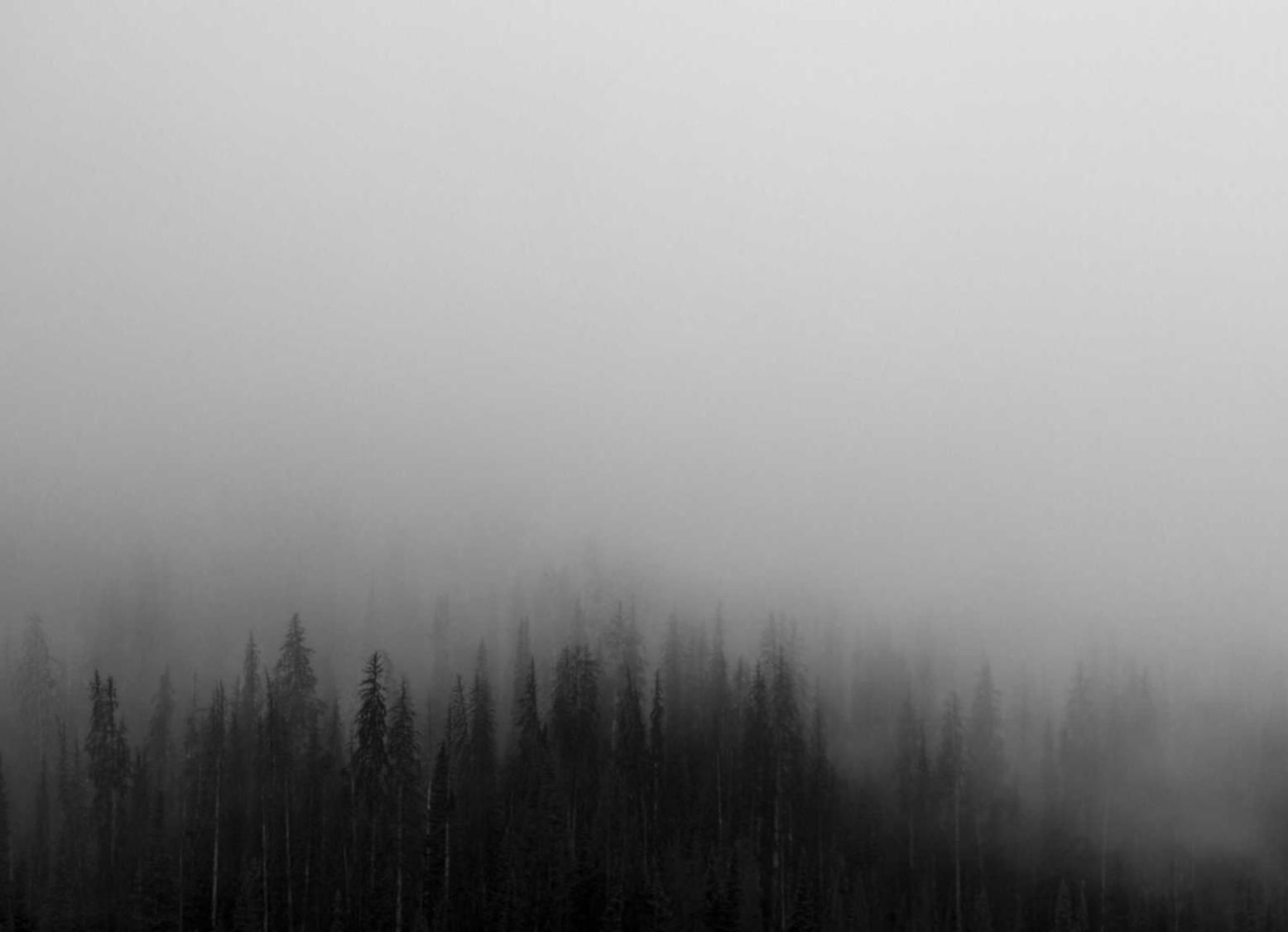 DDOS在线攻击平台|浙江注册公司代理选哪家