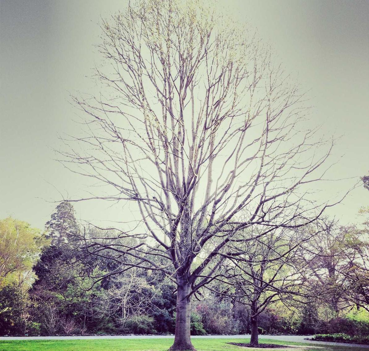 镇魂街：武神躯：详情下载教程火星app