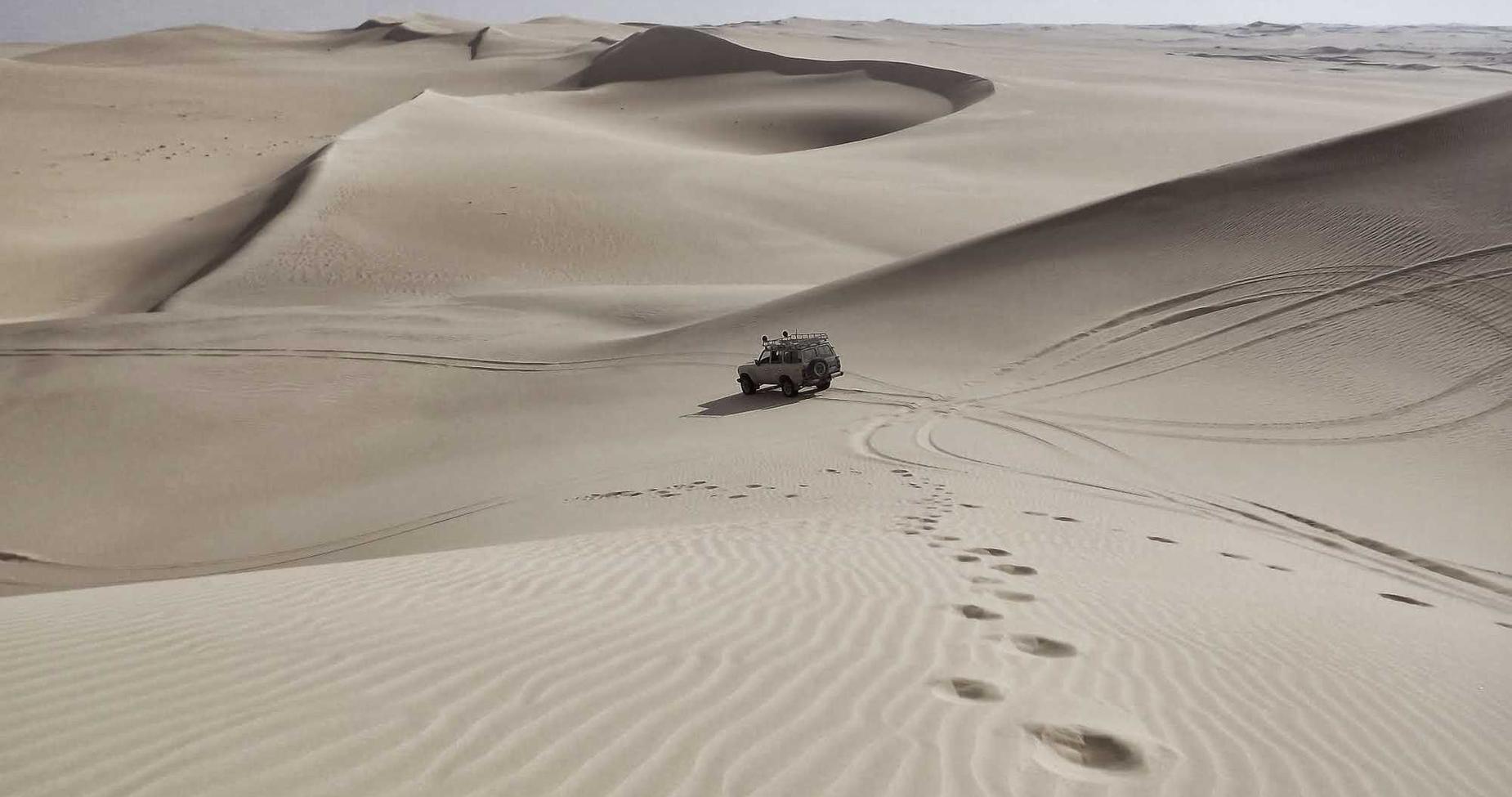 B站手机卡实名账号：鲸鱼影视app详情下载教程