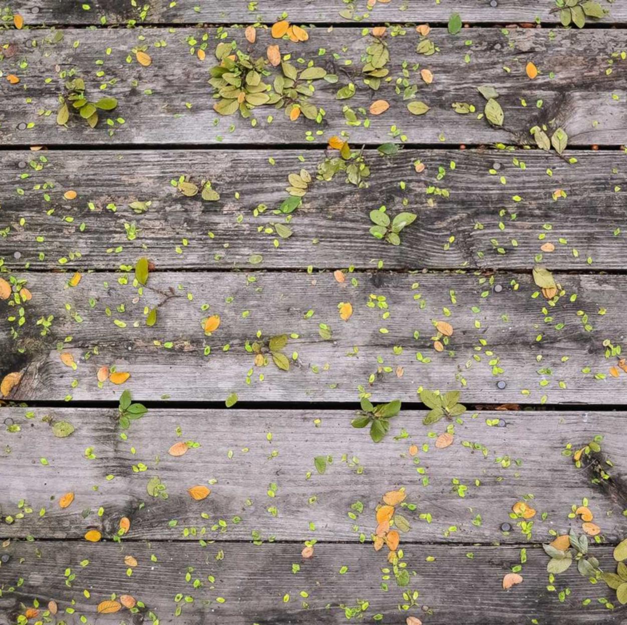 五年后，十年后，二十年后……吸烟对生命的损害究竟有多严重？