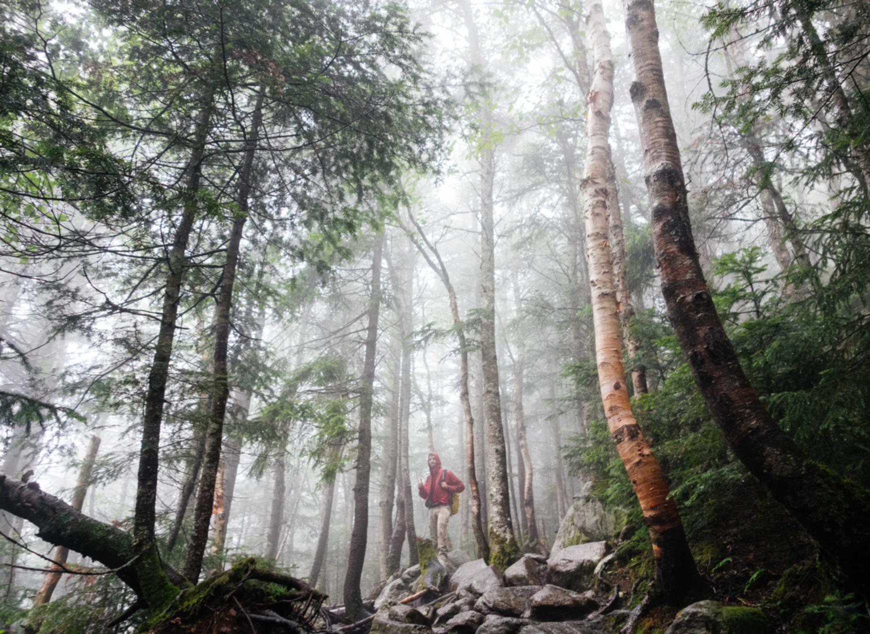梦幻契约：美团平台对代理商监管责任