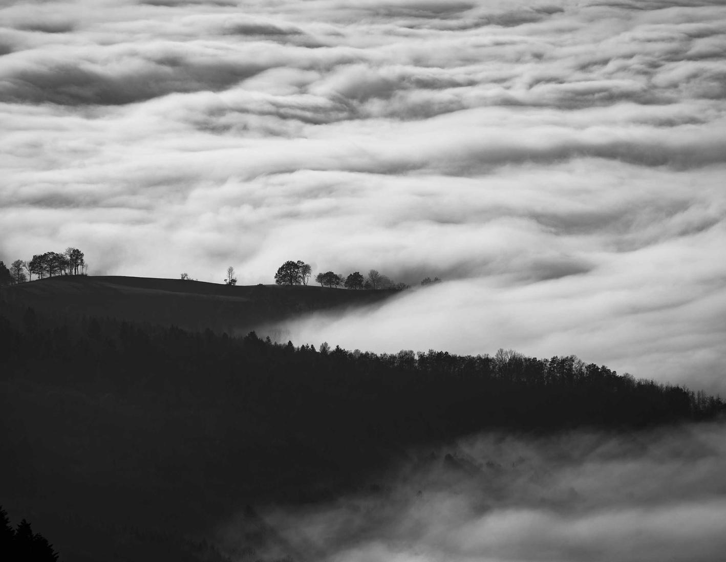 如何分析竞争对手SEO策略，制定优化计划