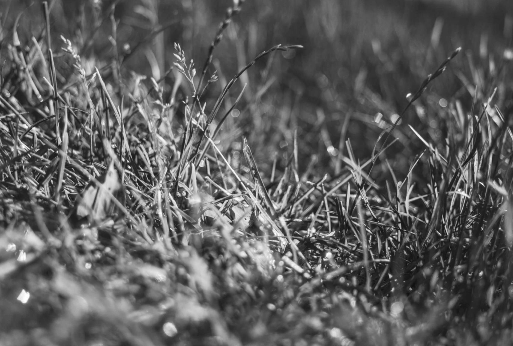 香烟和艺术：烟雾与霓虹灯的美