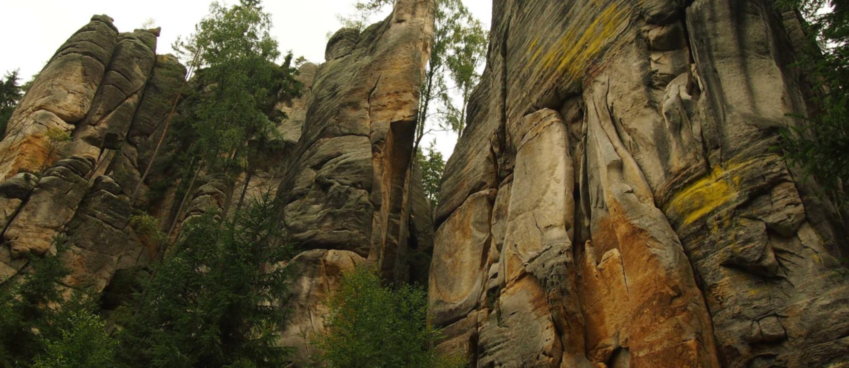 长亭科技实名账号:同城交易app详情下载教程