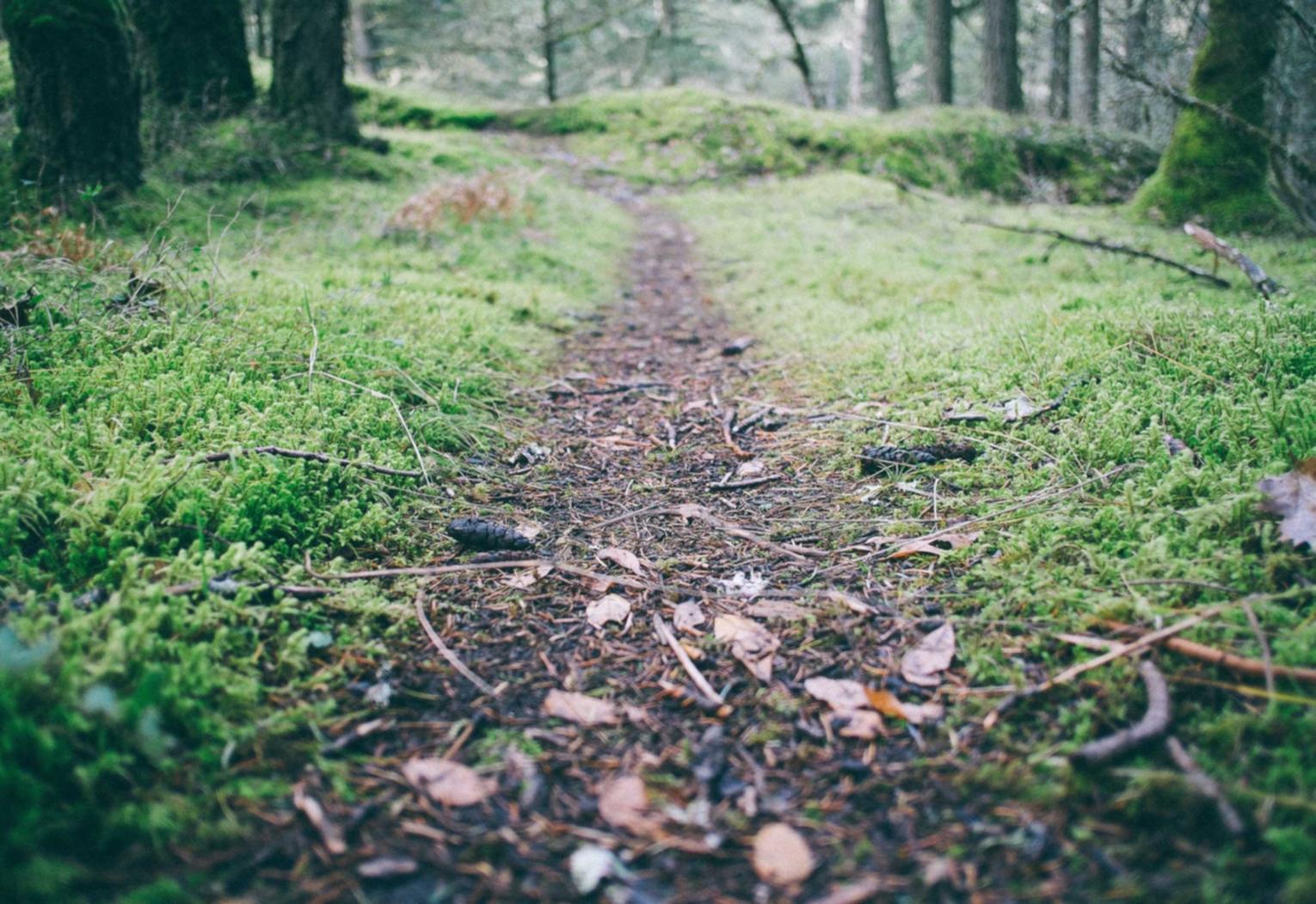 拉菲2淘宝app详情下载教程2019