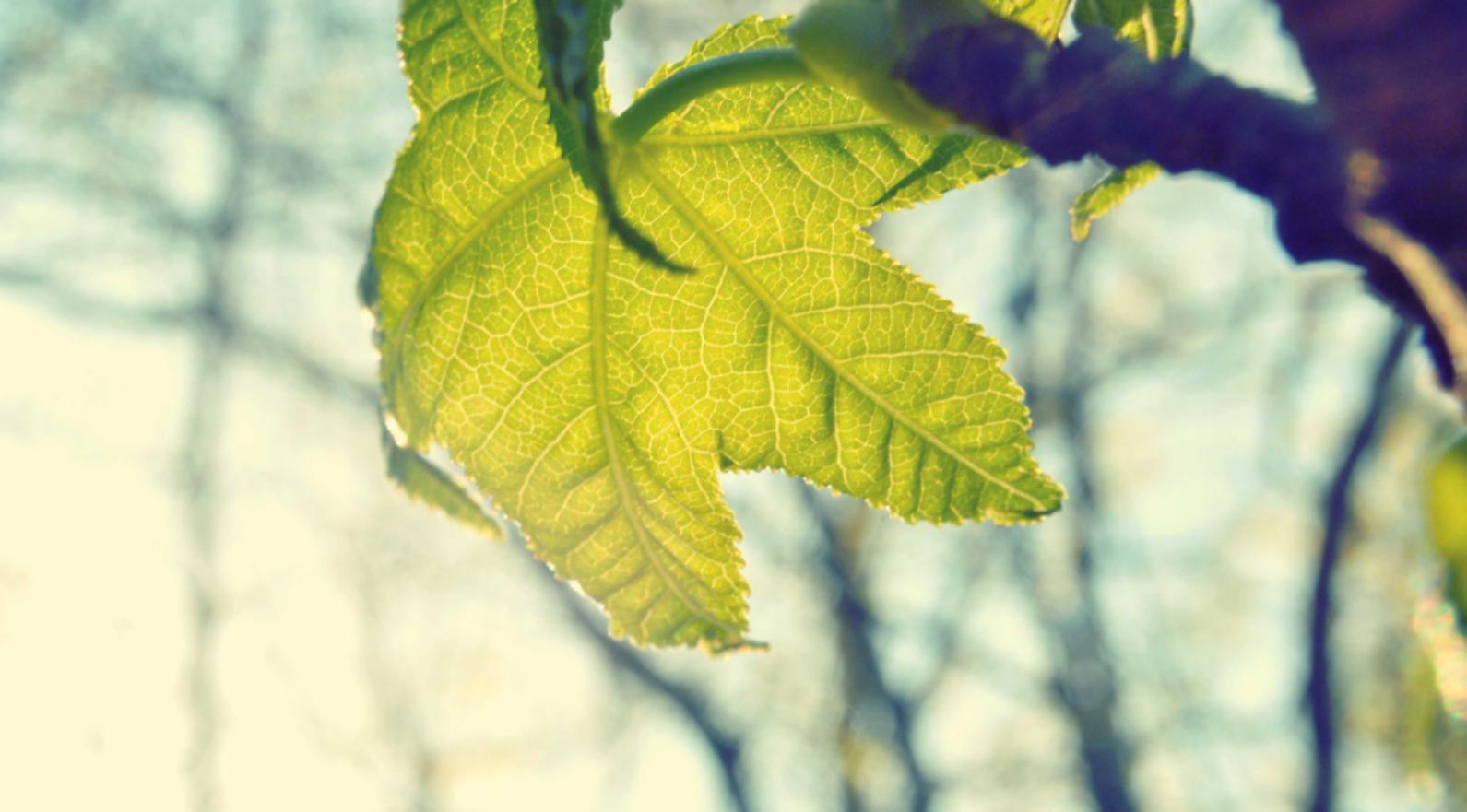 幻唐志辅助- 饿了吗详情下载教程app详情下载教程