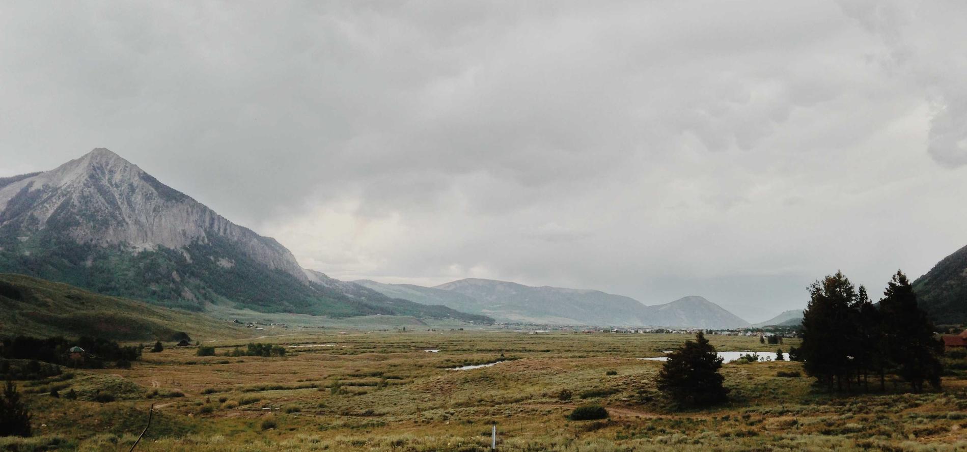 物语云实名账号：alive app详情下载教程