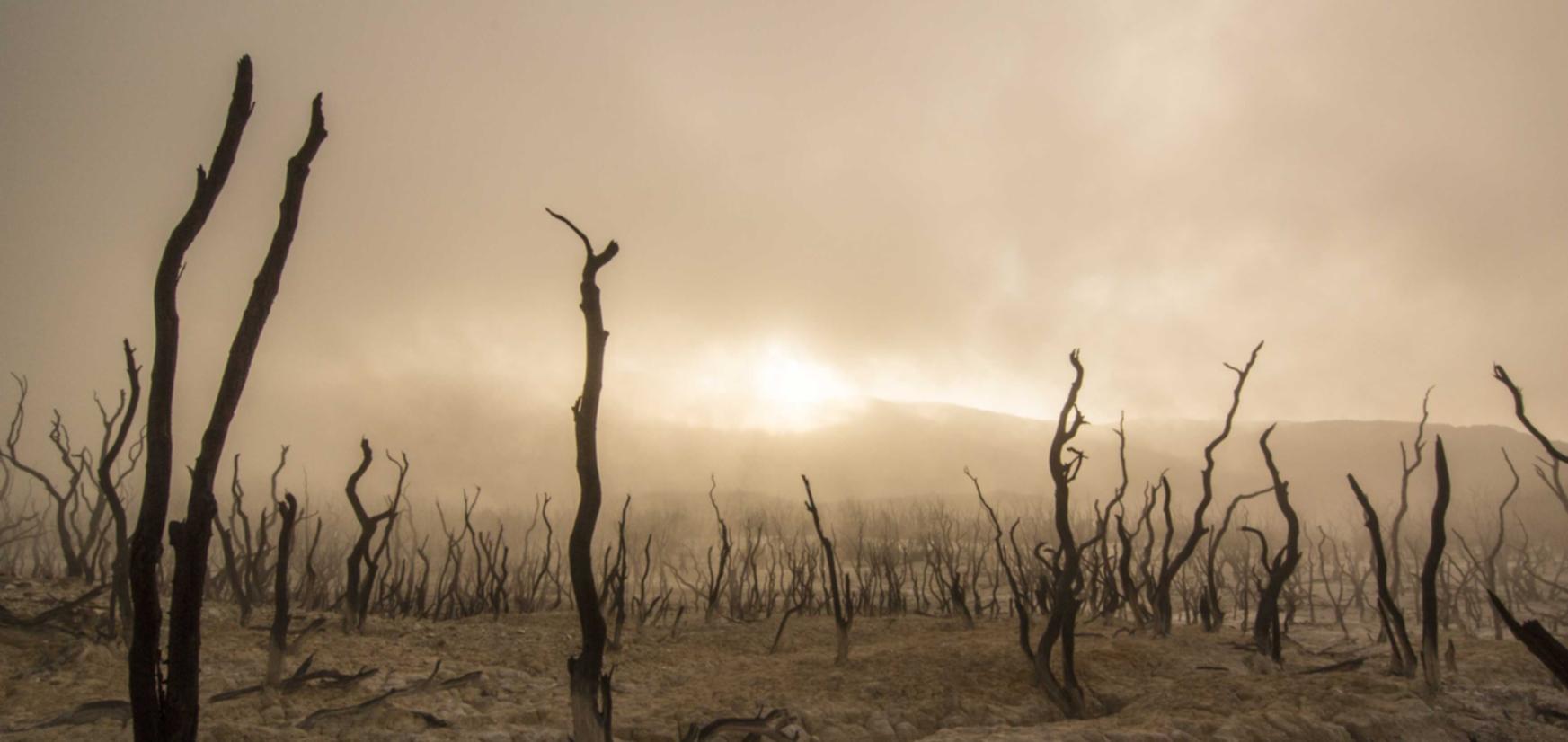 手机号如何注册学信网账号