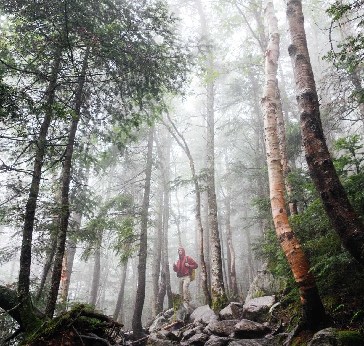太极熊猫2:水运代理平台