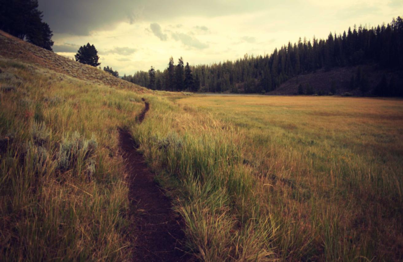 vx号出售：配资平台能开户炒股吗吗