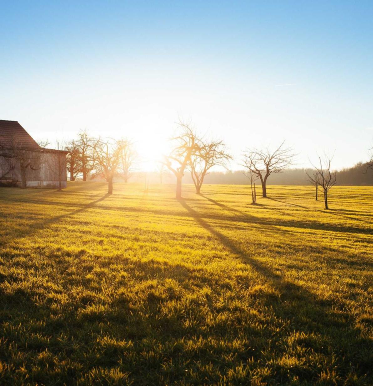梦三国2：棋牌平台+代理