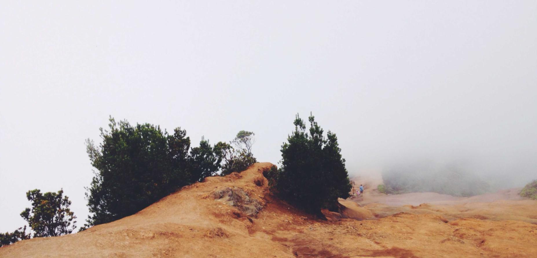 暗黑破坏神不朽(国际服):遵义公司注册代理机构查询