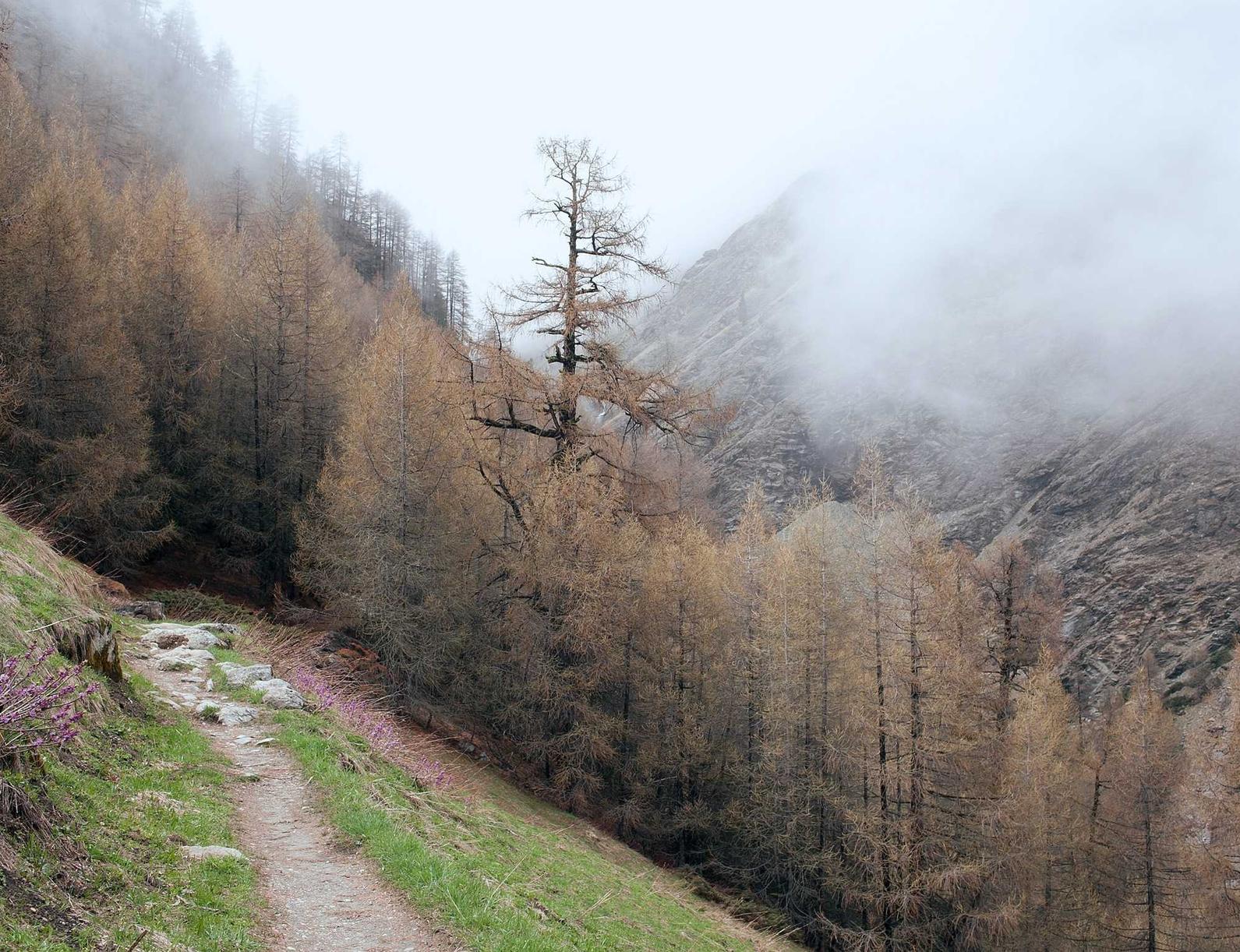 重装战姬：河西工商代理注册有哪些