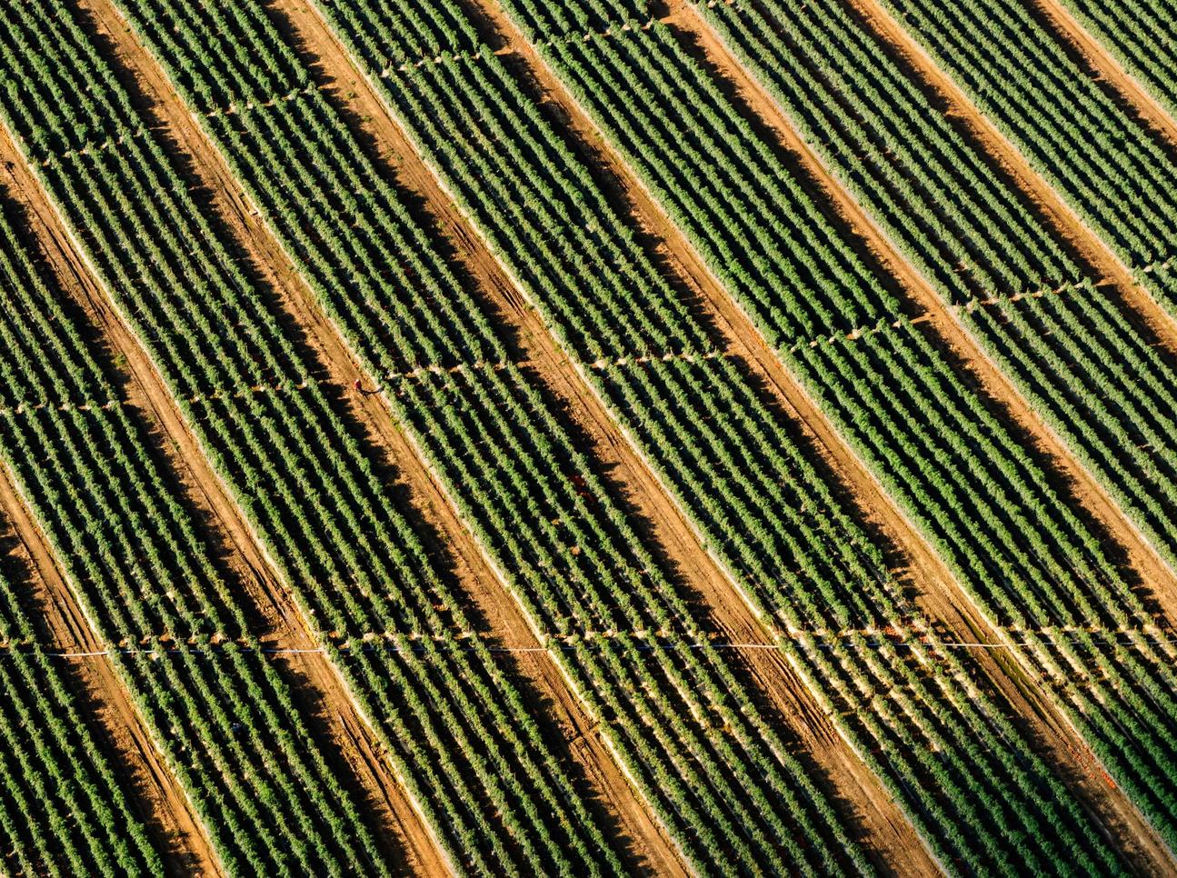 战斗力越大越好:如何在技术支持辅助的帮助下成为游戏高手?