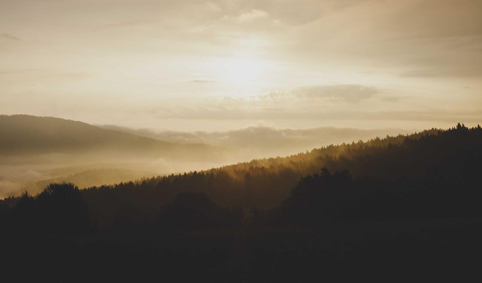 “香烟如何对环境造成危害”