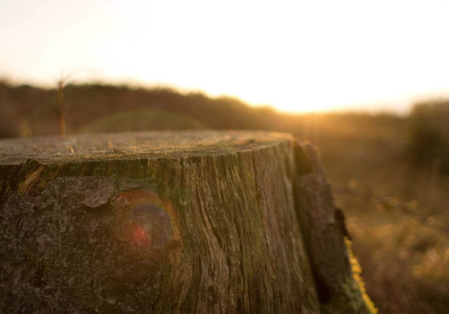 通过提供有价值的内容来吸引您的客户