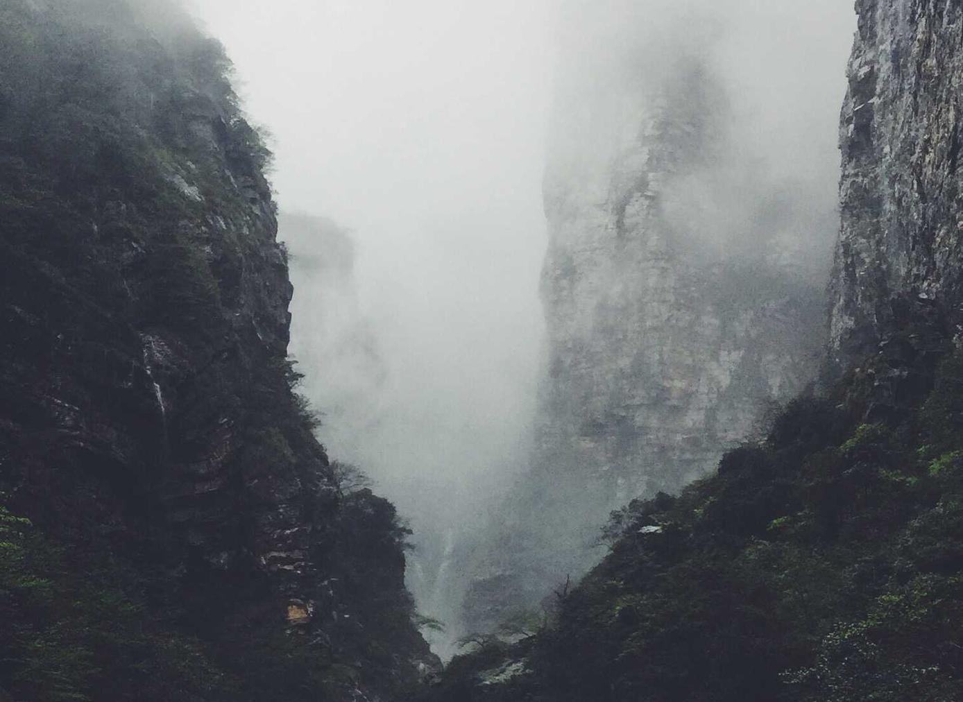 绿摩尔：富阳区代理注册商标费用