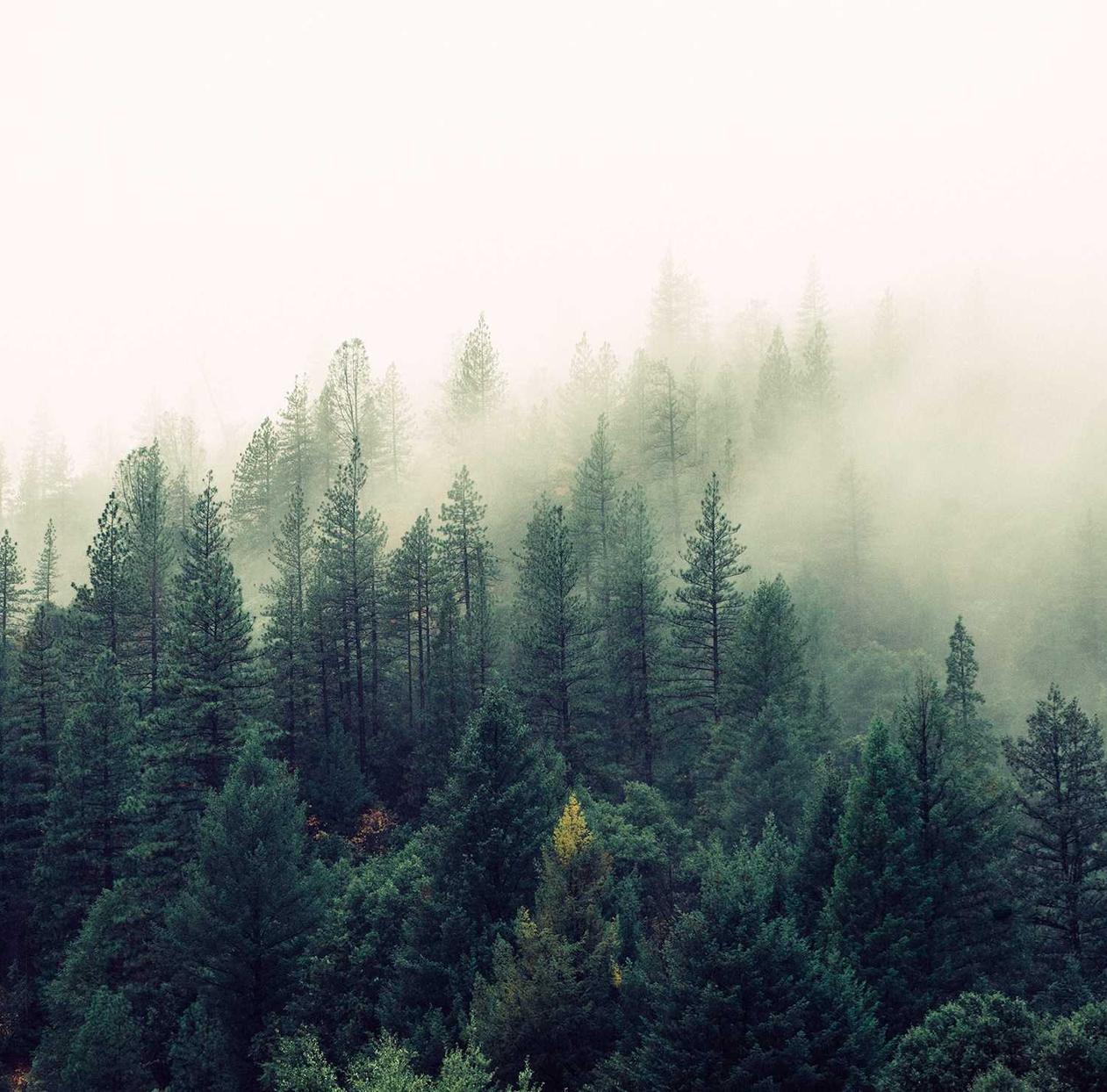 巨像骑士团：原油开户交易平台