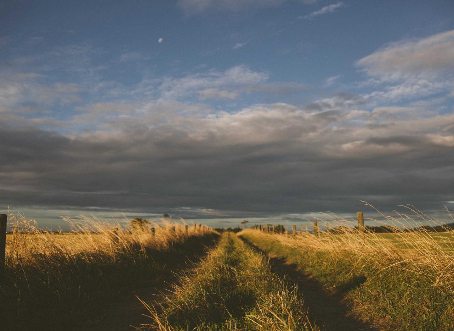 七牛云实名账号：世纪守护app详情下载教程