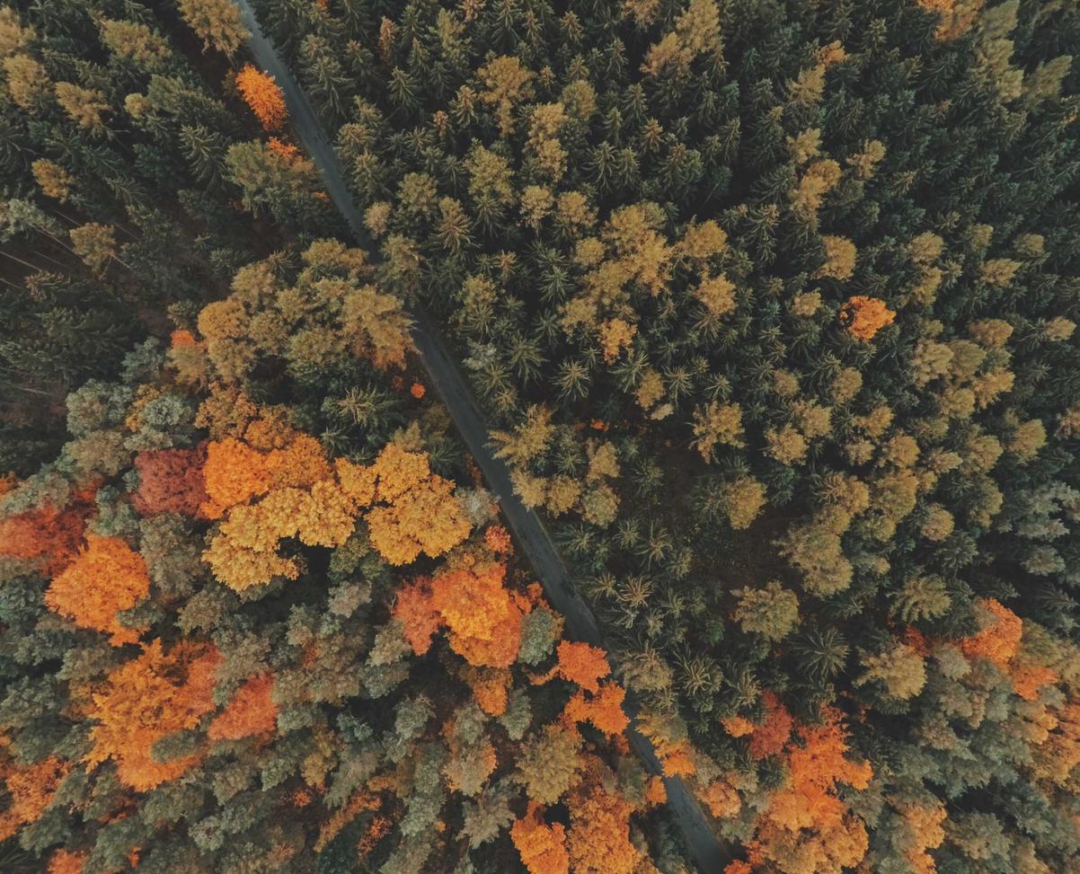 摩域团队竞技永劫购买物品平台