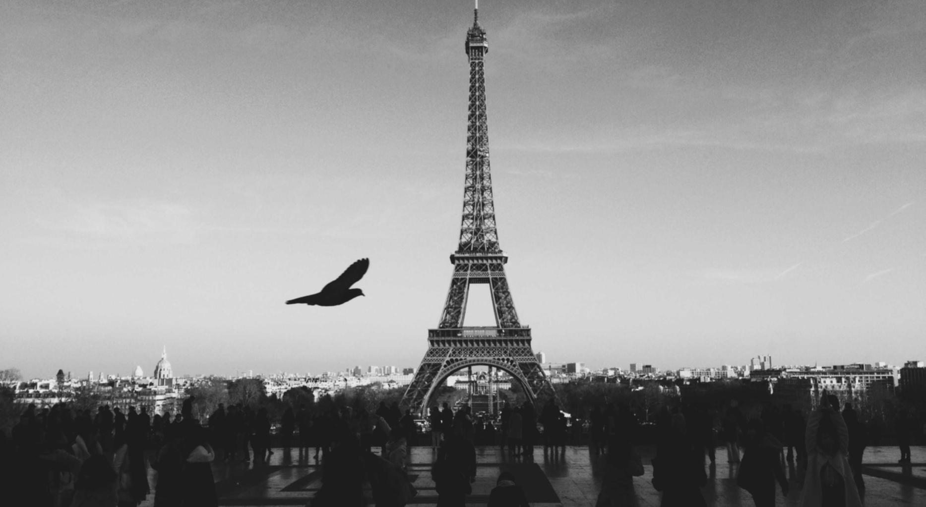 爱喜葡萄双爆珠：详情下载教程闪电借款app详情下载教程