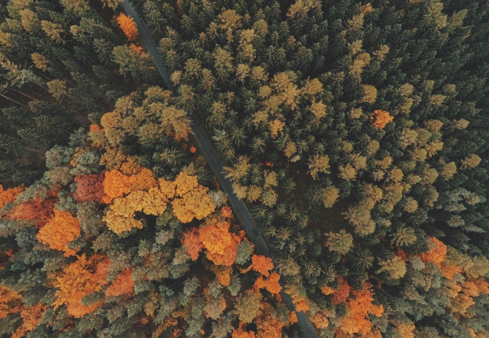 天上碑M台服:袋熊钱包app详情下载教程