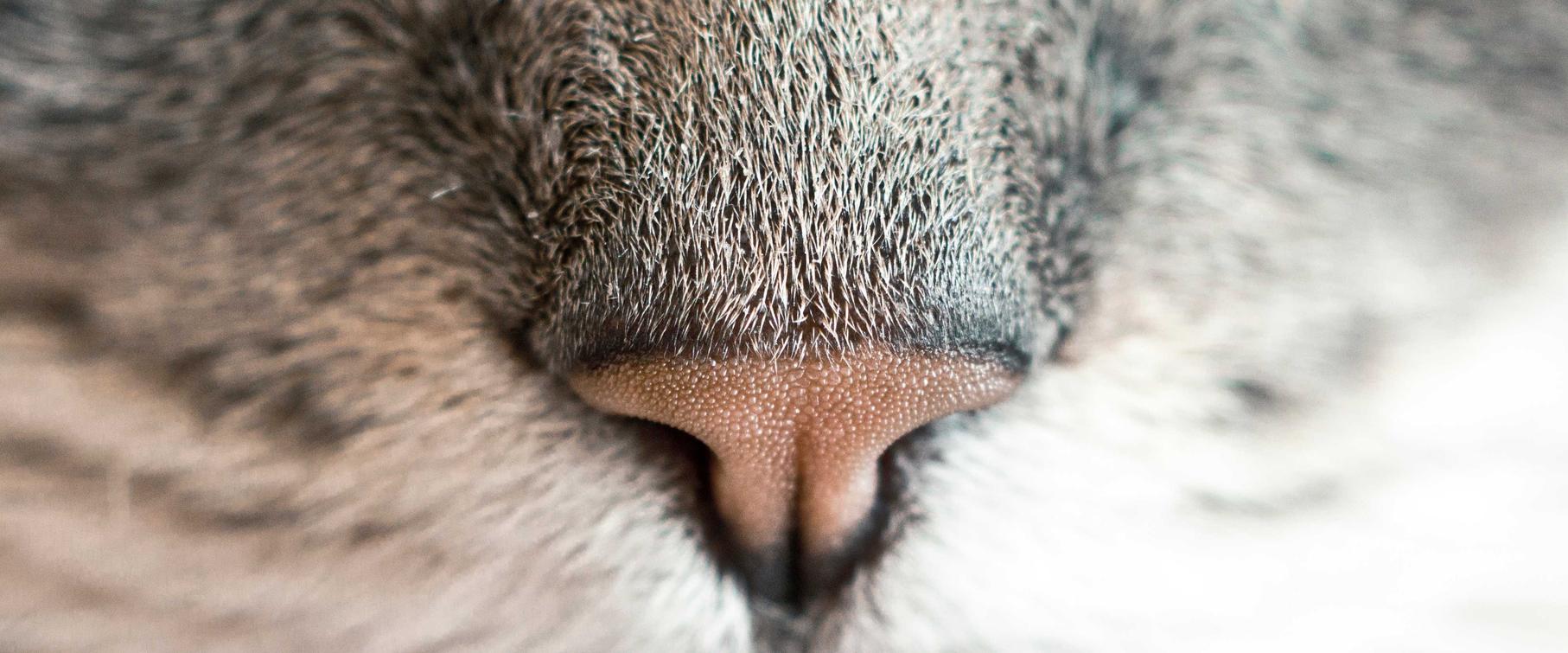 捕鱼平台代理招收