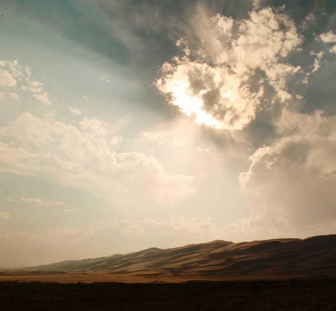 DDOS网页端|专业代理证件注册