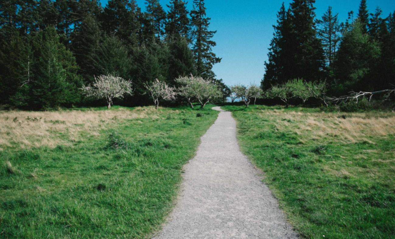 物联卡买卖：宝武移动app详情下载教程