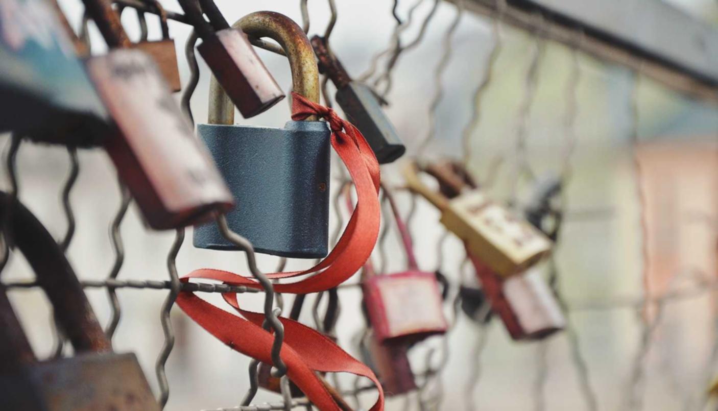 江苏黑猫购买平台