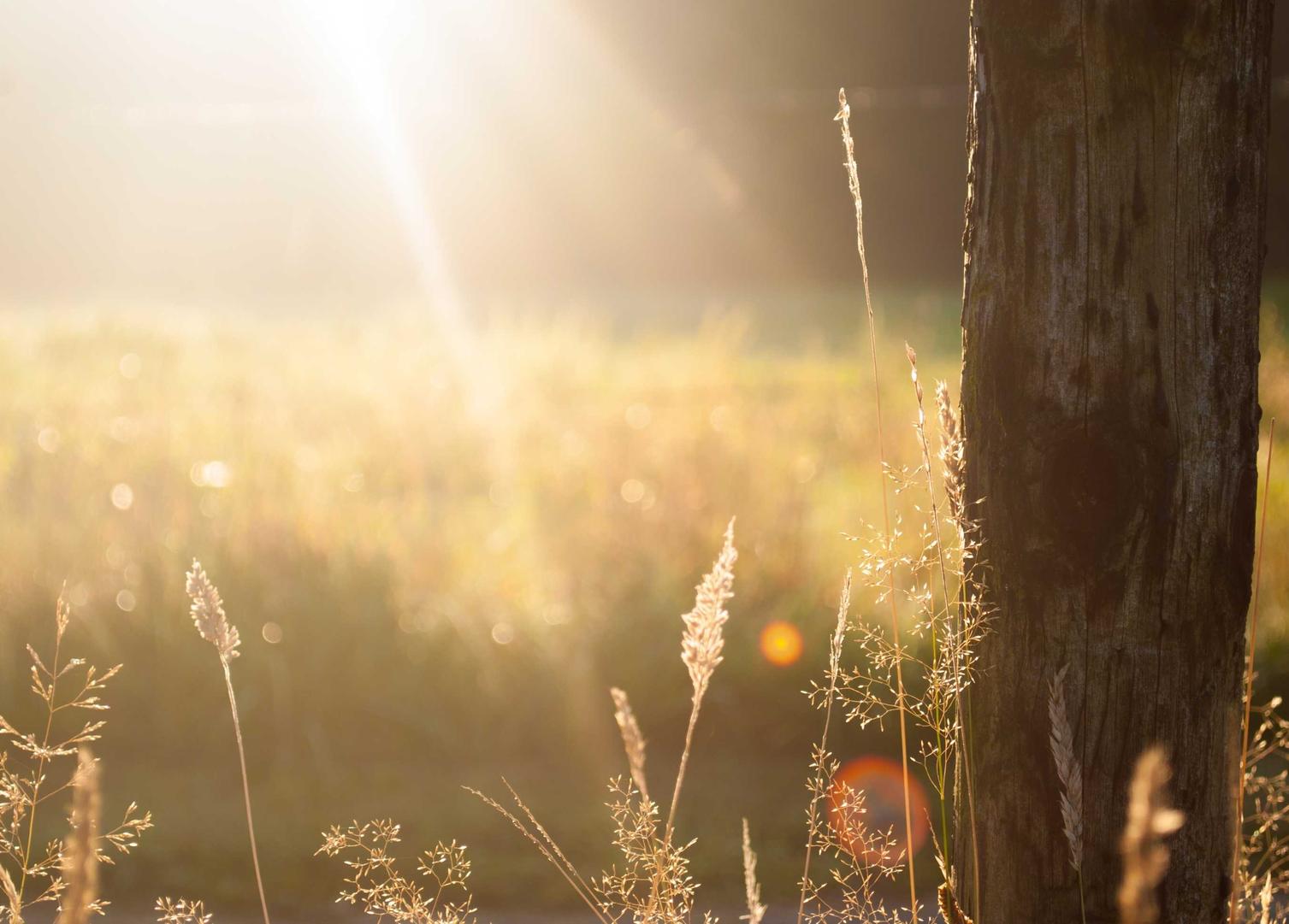吸烟会导致精神疾病