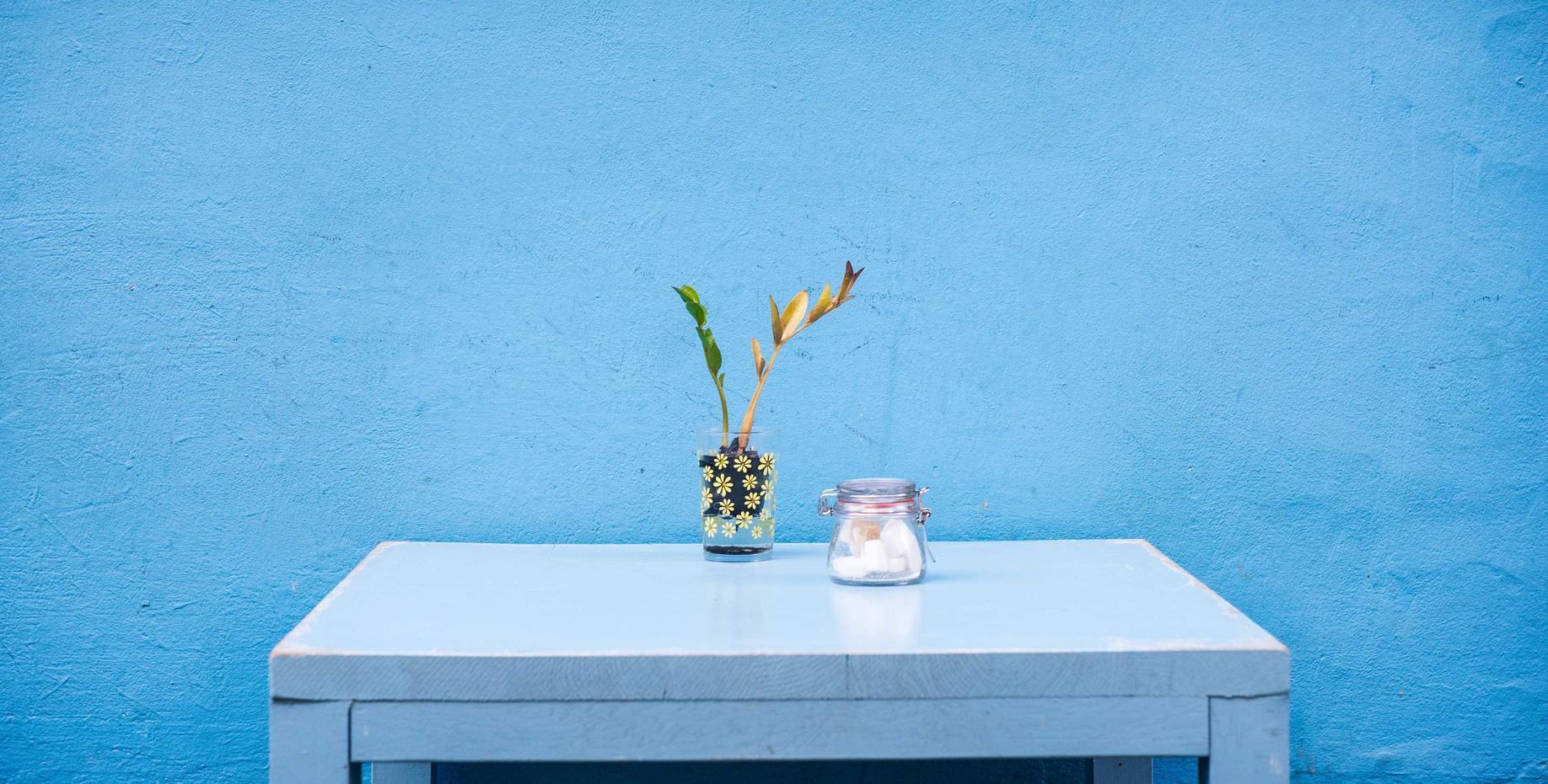 物联已实名流量卡- 阳光币app详情下载教程