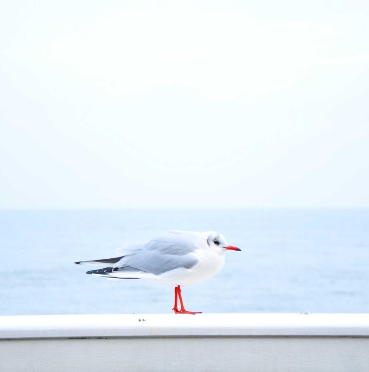 京东实名账号：昆明商品期货开户正规平台