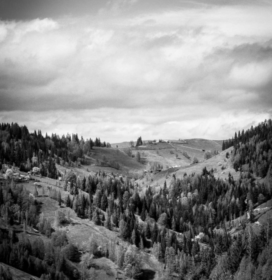 暮光起源：汽车购买咨询平台