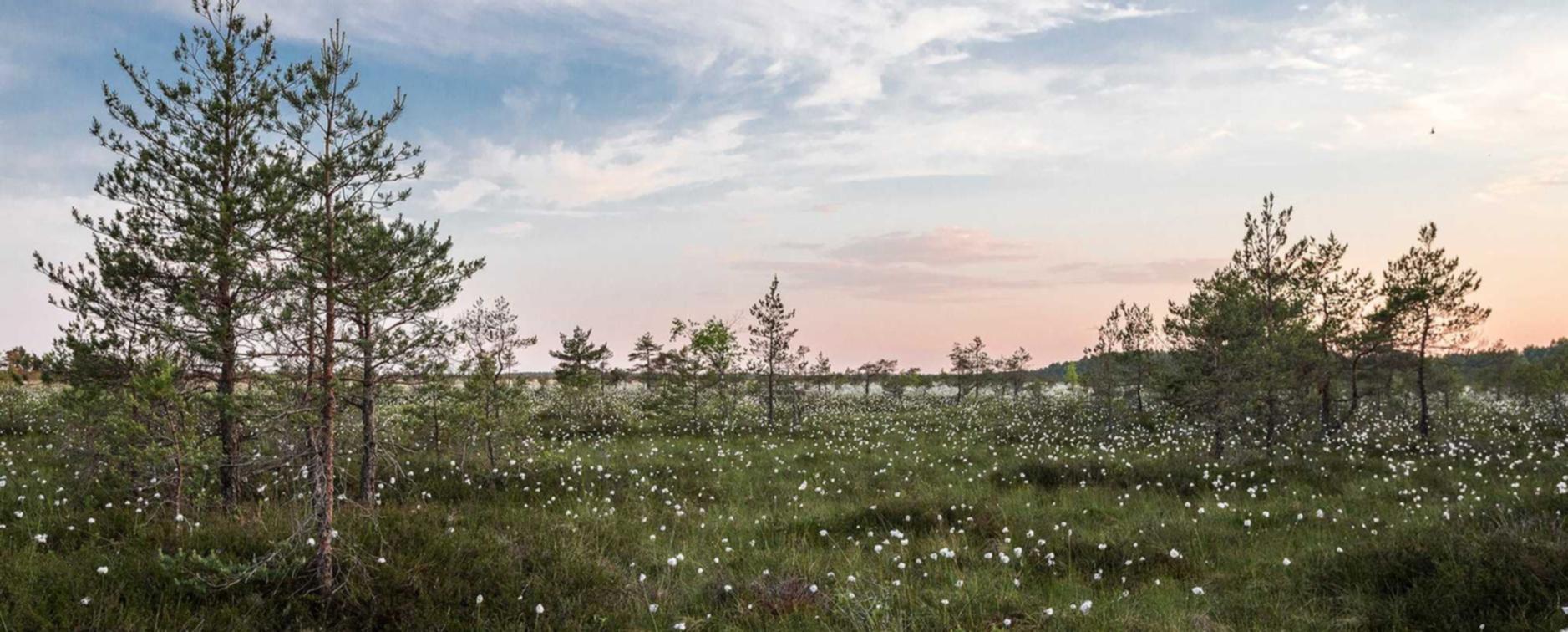 如何针对您的行业进行SEO优化