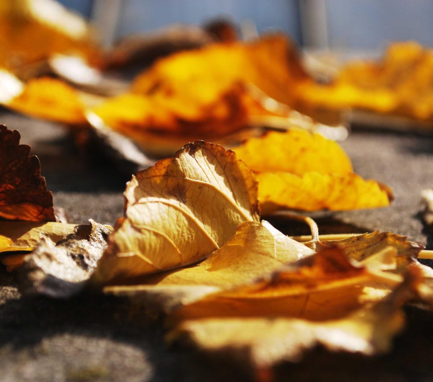 微信新号买卖：深圳注册公司代理费