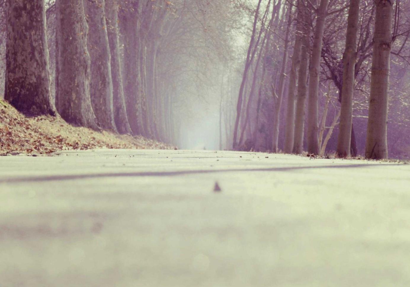 游戏技术支持辅助如何在赛事中发挥作用？