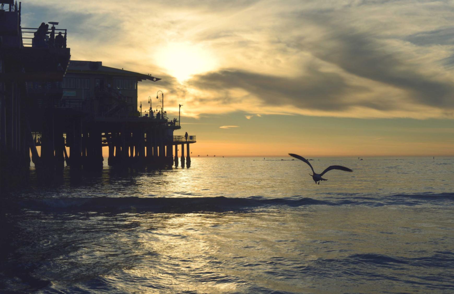 三网卡实名账号：详情下载教程点刷app详情下载教程