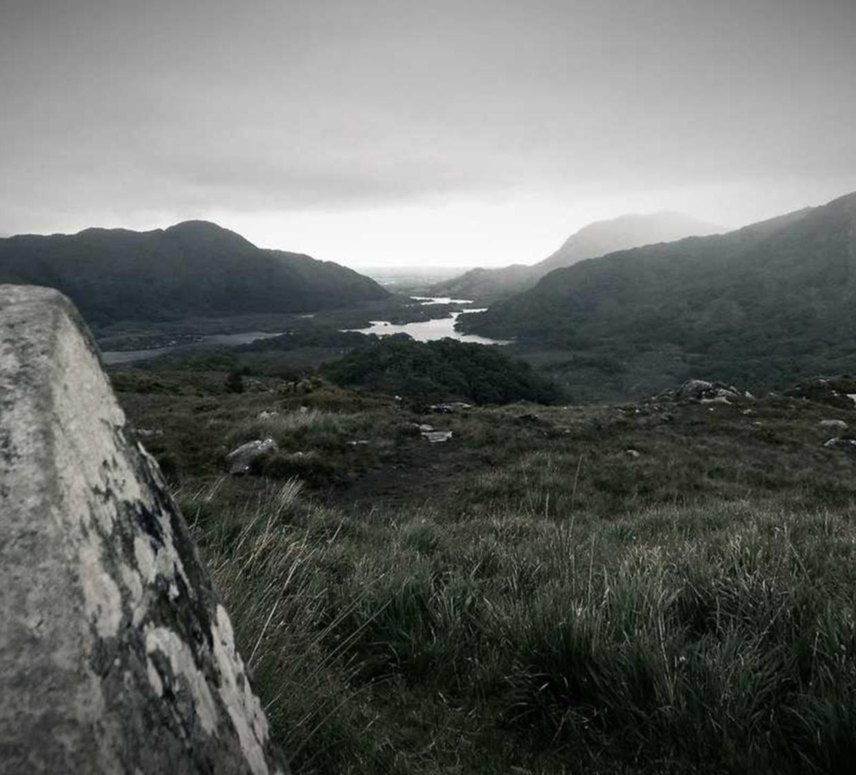 七星柔和7mg：新加坡驱蚊购买平台