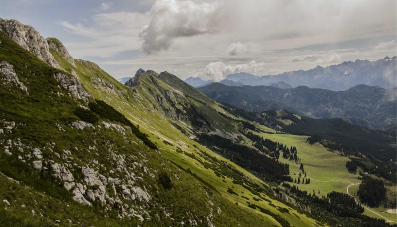 世纪互联实名账号：熊猫APP详情下载教程网站