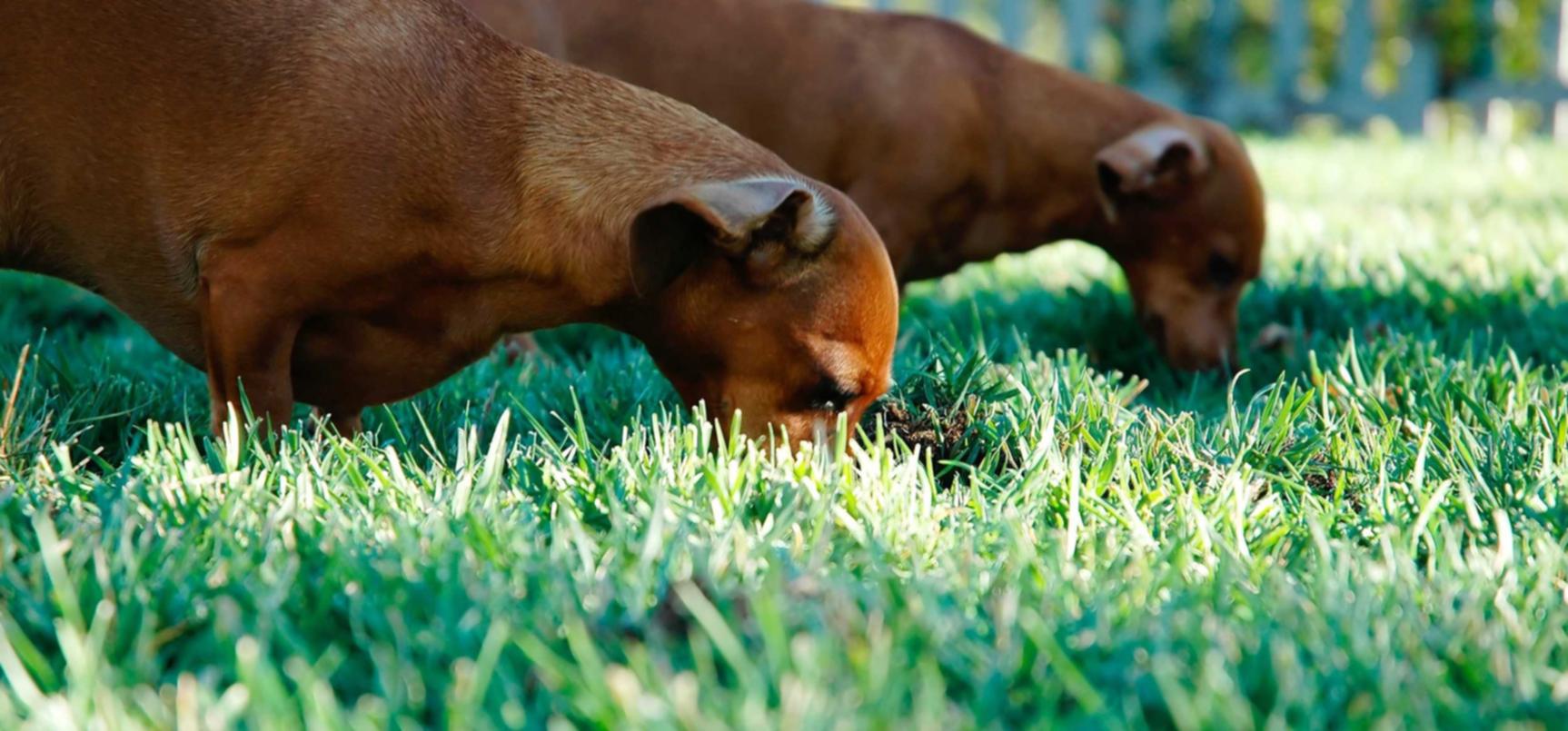 乐村淘app官方详情下载教程