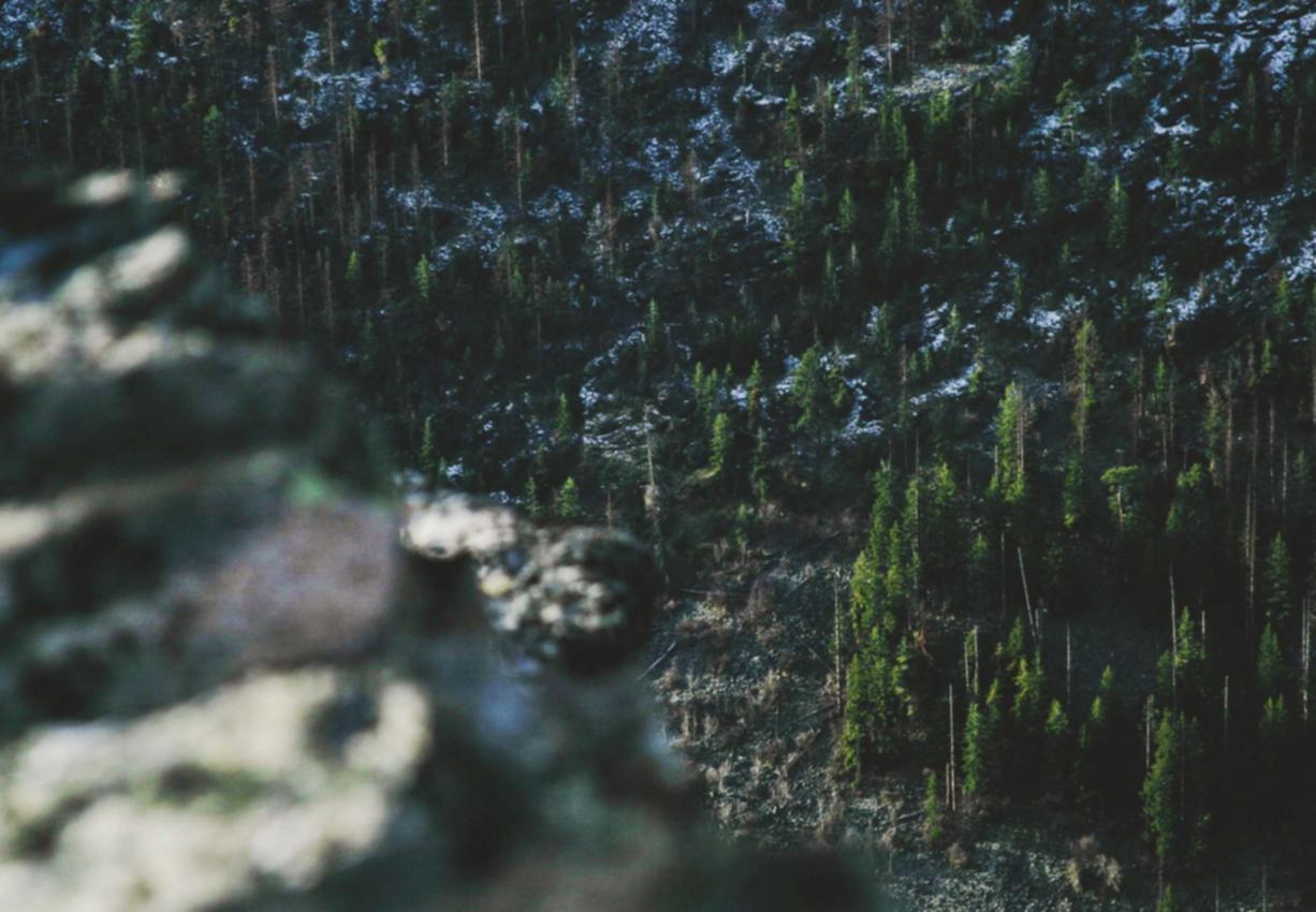 博悦长沙餐饮商标注册代理公司