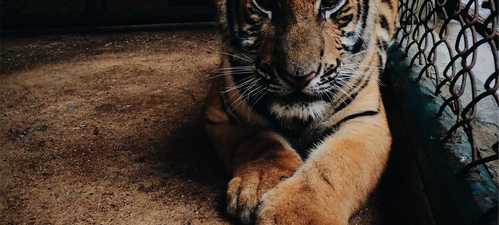 syn攻击|增强你的员工安全意识来防范黑客攻击