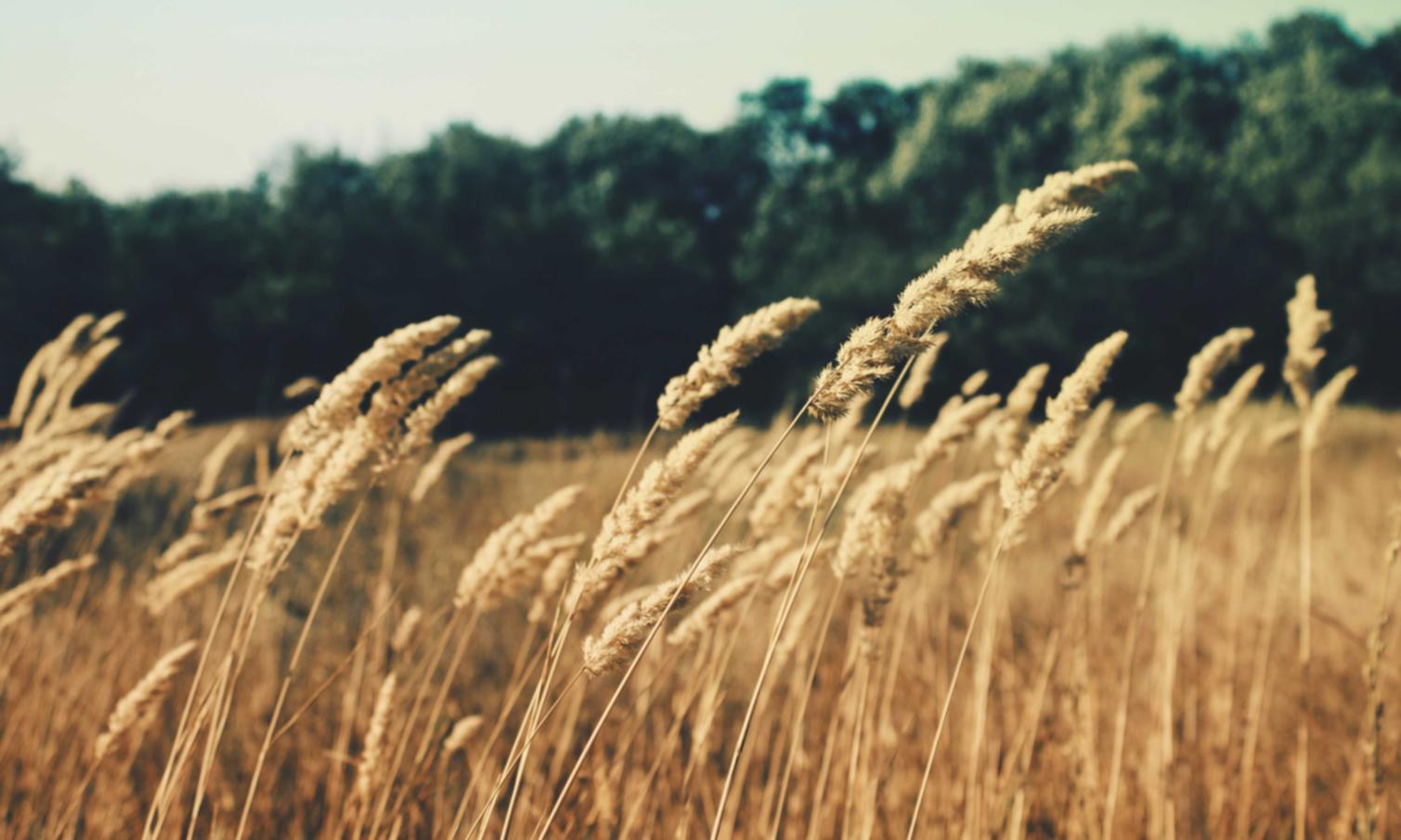 镜面爱喜冰爆珠:腾讯购买股票平台