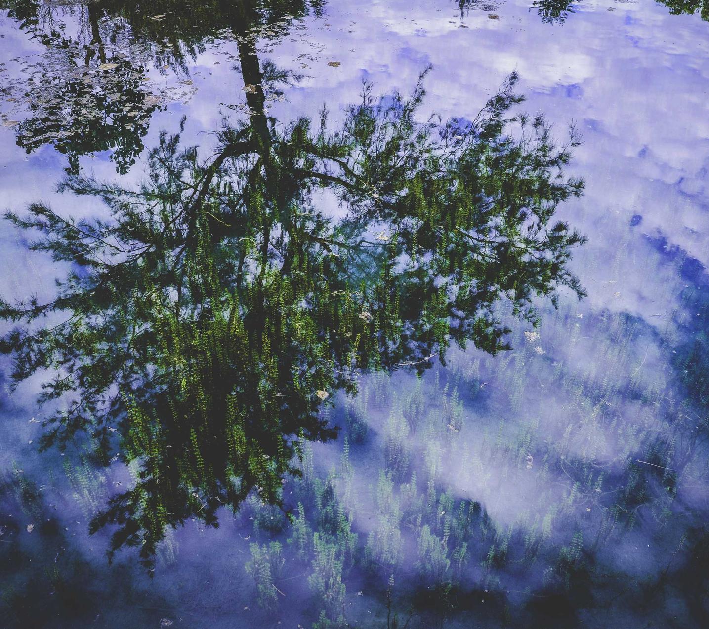 网页DDOS攻击平台|黑客攻击技术总结：20种流行的黑客攻击技术