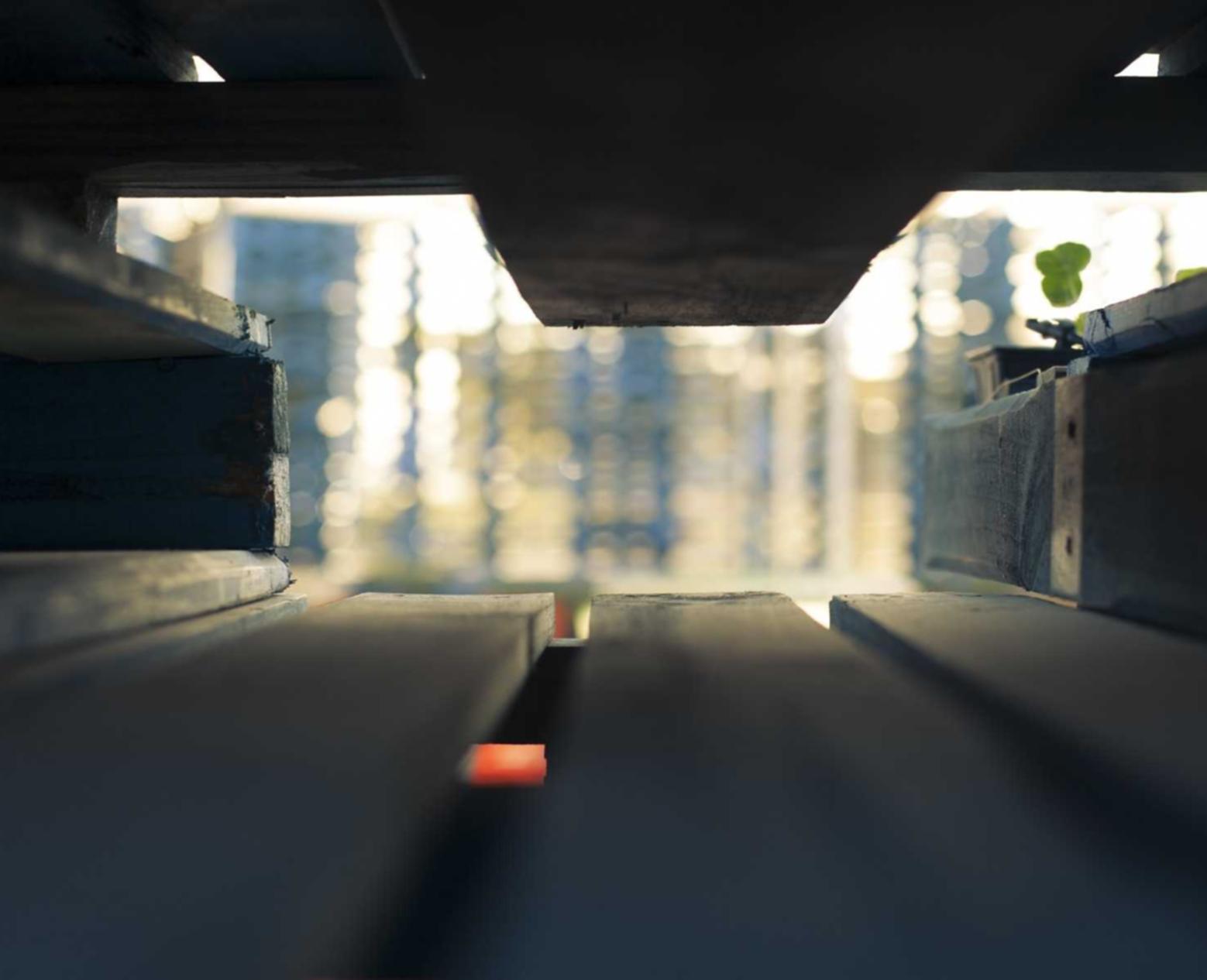 精灵ip实名账号：抖音互动代理平台