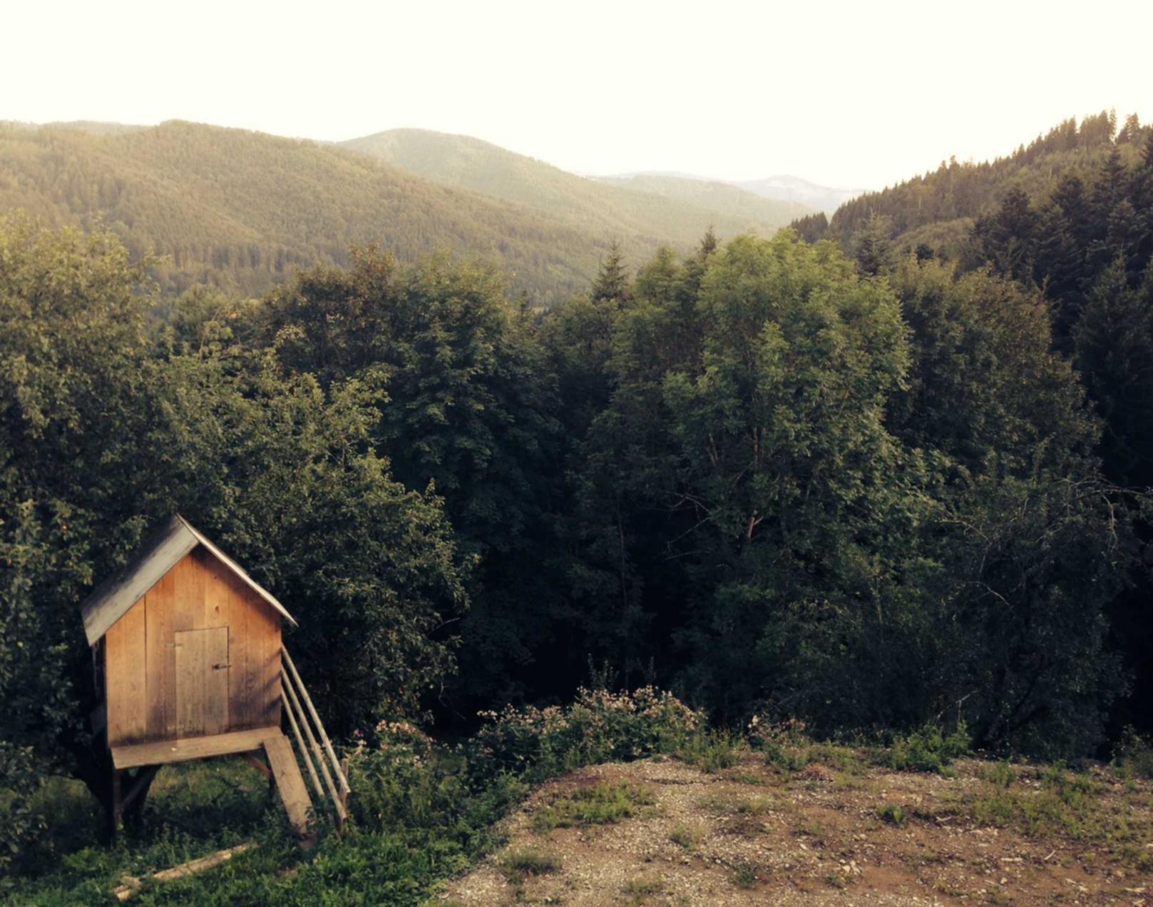 玩家时代民事侵权代理平台