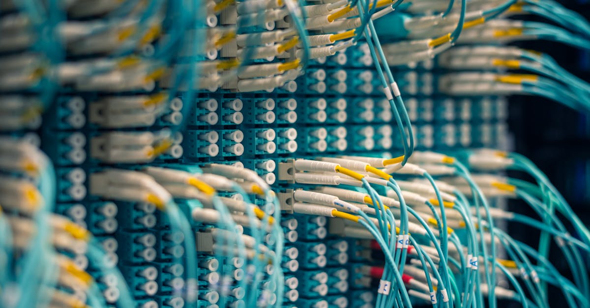 方盒万宝路柑橘爆珠:西沙区代理工商注册