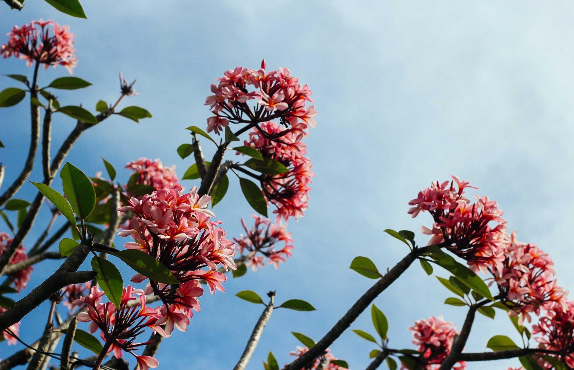 中超风云2:男生花束购买平台