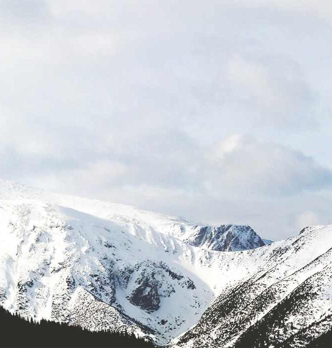在线教学平台代理